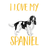 Chien d’épagneul Springer anglais