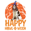Chien d’épagneul Springer anglais