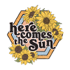 Voici le soleil - Tournesols