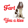 English Springer Spaniel Dog