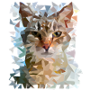 Abstract Polygon Geometric Cat