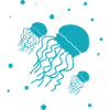 Jellyfish - Marine animal - Nature conservation