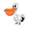 Pelican Waterfowl Bird