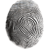 Fingerprint black