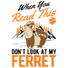 Ferret lover Ferret Gift