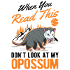 Opossum Gift Possum Marsupial