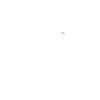 Flute