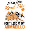 Armadillo Gift Armadillo