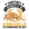Armadillo Gift Armadillo