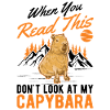 Capybara Cadeau Capibara capybara