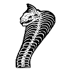 Skeleton Cobra