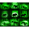 Elephant Pattern Design - Green