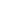 Dog diving, dock diving