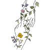 Wildblumen