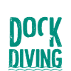 Dog diving, dock diving