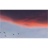 ciel