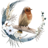 Robin Bird Friend Gift