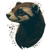 Ferret Lover