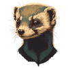 Girl Who Loves Ferrets