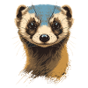 Stunning Ferret