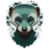 Ferret Stuff