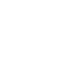 Profession Work - Geographer