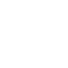 Professional Work - Lawyer