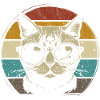 Cool cat with sunglasses retro