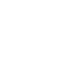 Professional work - police officer