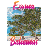 Exuma Bahamas