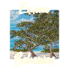 Exuma Bahamas