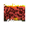 Santa Barbara California