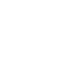STEIRISCHE RAUHHAARBRACKE Jagdhunderasse Wilsigns