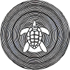 Geometric turtle with circular pattern