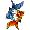 Koi YinYang