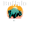 Buffalo Bison Ox Indian American