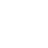 Buffalo Bison Ox Indian American
