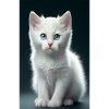 White kitten