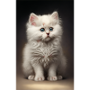 White kitten