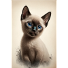 Siamese kitten