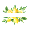 Easy Peasy Lemon Squeezy