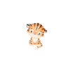 Oeil du tigre