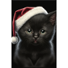 Black kitten christmas