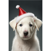 Chiot blanc noël