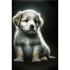 Chiot blanc