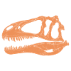 Acrocanthosaurus fossil skull