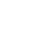 Acrocanthosaurus fossil skull