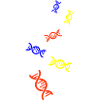 Dna Bunt