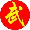 kung fu wushu
