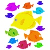 Aquarium goldfish